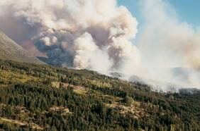 Incendios forestales en el sur de Argentina dejan al menos un fallecido y once desaparecidos