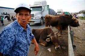 Turismo y economía resienten el golpe de una semana de manifestaciones en Perú