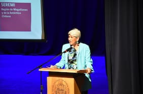 Caso de licencias médicas: Lidia Amarales renuncia a la Seremi de Salud de Magallanes