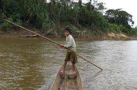 Tribu amazónica boliviana tiene la clave para envejecer más lento: sus habitantes poseen el cerebro y corazón más sanos jamás estudiados