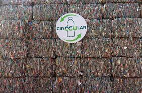 Economía Circular: Cómo el sector privado busca alcanzar la sostenibilidad empresarial en el país