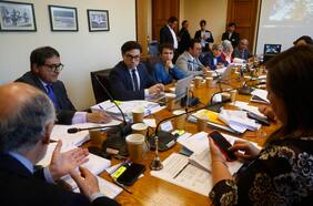 Comisión mixta despacha proyecto de ley que crea el Ministerio de Seguridad Pública