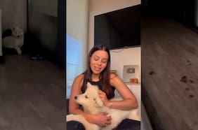 Popular tiktoker venezolana es acusada de maltrato animal en Vitacura: influencer respondió