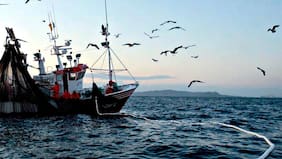 El detalle de la querella de Landes contra el Estado por fraccionamiento pesquero: “Contraviene los principios de certeza, seguridad jurídica e irretroactividad de la ley”