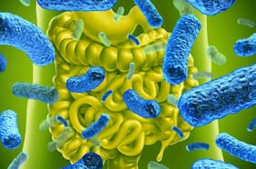 Este probiótico logró eliminar el 43% de los tumores de colon en unas pruebas experimentales