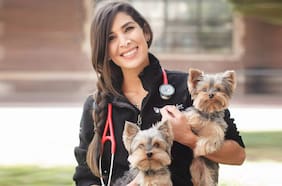 Soy veterinaria y estas son tres cosas con las que nunca alimentaría a mi perro
