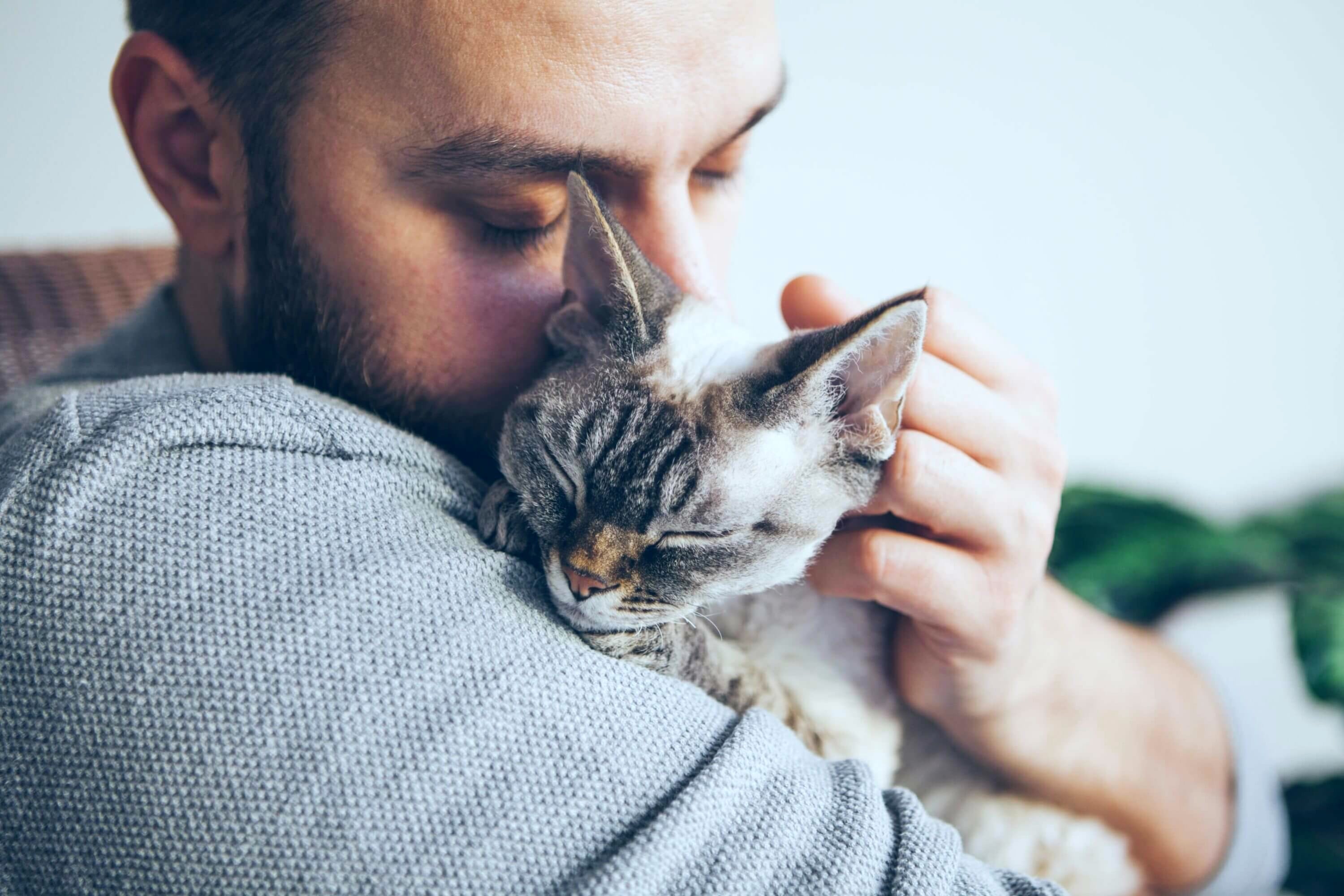 Cómo tener gatos puede potenciar la felicidad de las personas, según un estudio realizado en 93 países. Foto: referencial.