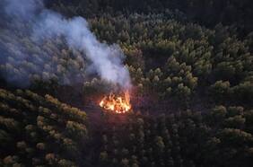 Alertan por tres focos de incendio en el Biobío: dos puntos estaban dentro de empresa Arauco