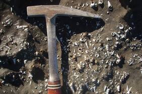 Los dos moluscos de hace 20 millones de años que revelaron un clima tropical en el sur de Chile