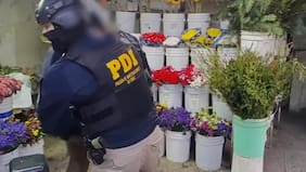 Sobre 100 millones de pesos fueron incautados a presunta organización criminal en Melipilla