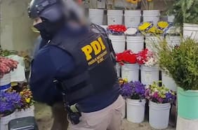 Sobre 100 millones de pesos fueron incautados a presunta organización criminal en Melipilla