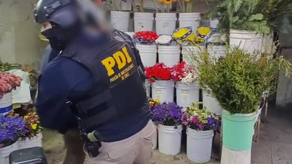 Sobre 100 millones de pesos fueron incautados a presunta organización criminal en Melipilla