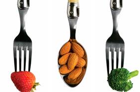 La dieta del metabolismo