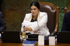 Le celebró el cumpleaños en La Dehesa y compraba regalos para su bebé: los “gestos“ del empresario chino con la diputada Karol Cariola