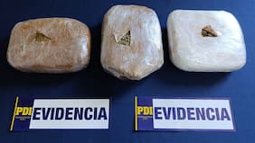 Capturan a sujeto dedicado al tráfico de cannabis en Traiguén: se incautaron más de 6.700 dosis