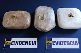 Capturan a sujeto dedicado al tráfico de cannabis en Traiguén: se incautaron más de 6.700 dosis