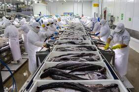 Pacific Blu revierte el cierre de planta tras acuerdo por nueva cuota de merluza en ley de pesca