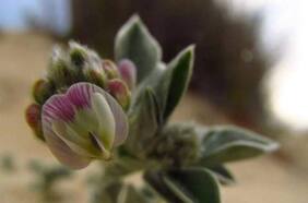 La batalla de los Matetic contra el Estado por un Santuario de la Naturaleza