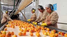 Qué explica el actual menor vínculo entre crecimiento económico y creación de empleo