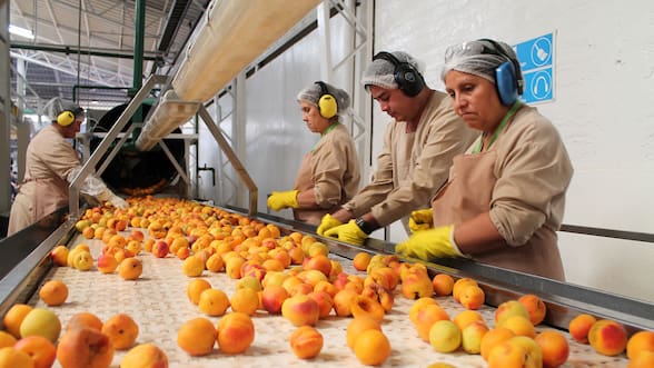 Qué explica el actual menor vínculo entre crecimiento económico y creación de empleo
