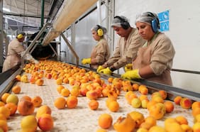 Columna de Hans Eben: ¿Realmente creemos que sólo exportamos naturaleza?