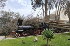 Árbol cae sobre la primera locomotora de Chile tras fuertes vientos en Copiapó
