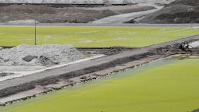 Litio: tras caída en exportaciones en 2025, el precio de commodity inicia el año con buen pie y sube a su mayor nivel desde 2023