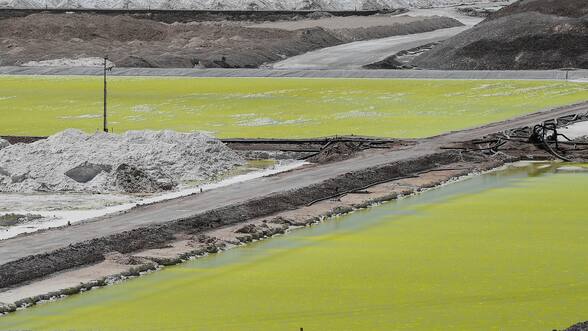 Litio: tras caída en exportaciones en 2025, el precio de commodity inicia el año con buen pie y sube a su mayor nivel desde 2023