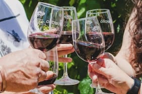 Una escapada en tren a la Fiesta de la Vendimia de Aconcagua 2024