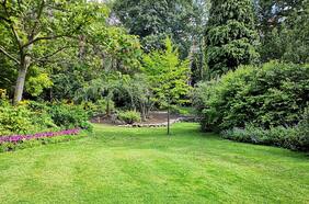 Vivir cerca de espacios verdes puede alargar tu vida por 2 años y medio