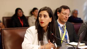 Desorden y falta de control: Contraloría fustiga a Viña del Mar por gestión de ayudas tras megaincendio