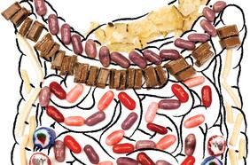 Rodrigo Hurtado, inmunólogo: El intestino enfermo