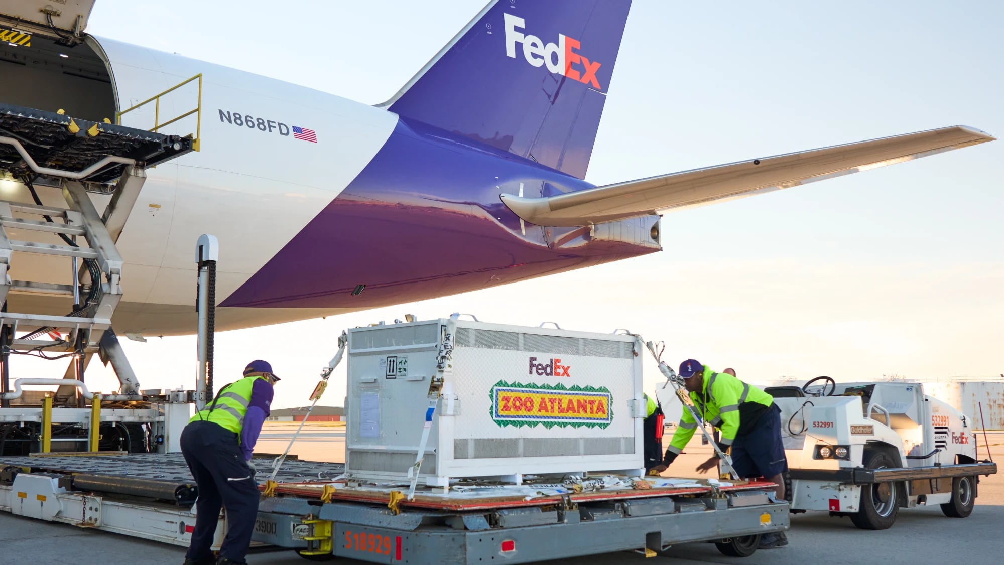 Los pandas partieron de Chengdu, en el suroeste de China, a primera hora del domingo a bordo de un avión Boeing 777 exclusivo denominado “FedEx Panda Express”.