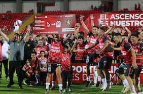 Tomate de primera: las claves que explican el milagro de  Deportes Limache