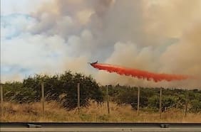 Solicitan evacuar siete sectores de la comuna de Maule producto de incendios forestales: focos han destruido 685 hectáreas