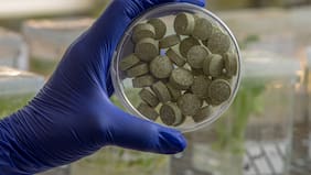 Científicos desarrollan un chicle que promete combatir el cáncer y el virus del papiloma humano (VPH)