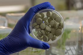 Científicos desarrollan un chicle que promete combatir el cáncer y el virus del papiloma humano (VPH)