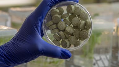Científicos desarrollan un chicle que promete combatir el cáncer y el virus del papiloma humano (VPH)