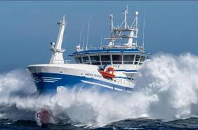 Qué se sabe del barco Argos Georgia hundido frente a las islas Malvinas: hay al menos nueve muertos y cuatro desaparecidos