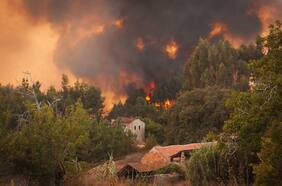 Para resistir el fuego: las casas construidas en Estados Unidos tras los incendios forestales tienen un material especial