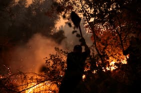 Incendios forestales y la nueva amenaza global: ¿Cuál es el causante de su alto poder destructivo?