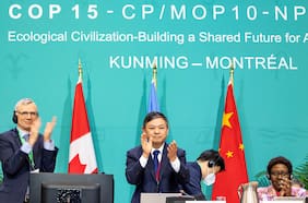 Histórico pacto en COP15: Países acuerdan proteger al 30% del planeta y reducir desperdicio de comida