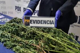 Detienen a cuatro personas tras operativo por microtráfico de drogas en Taltal