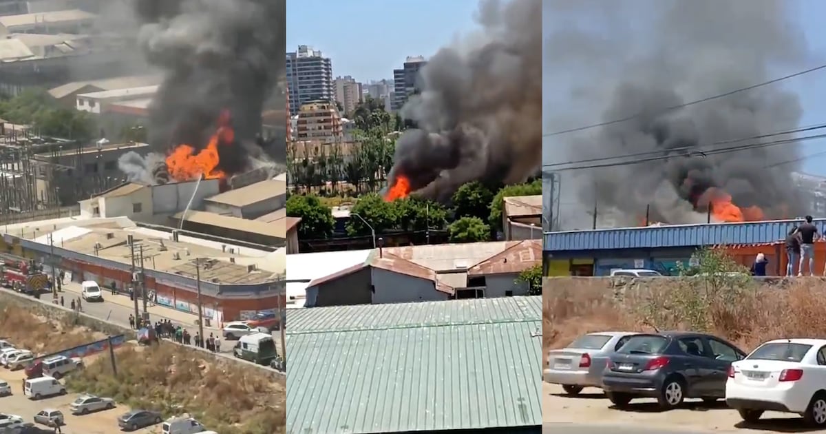 Incendio en Viña del Mar: Más de 50 mil clientes sin luz y un centro urbano paralizado