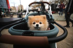 Confirman lluvia y tormentas en la Región Metropolitana hoy: dónde y a qué hora