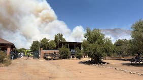 Incendios forestales afectan a la Región Metropolitana: siniestros se desarrollan en Las Condes y La Florida