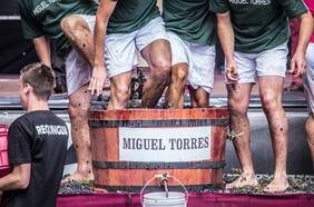 Fiesta de la vendimia 2024: calendario con todos los eventos que hay en Chile este año