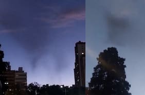 Inmensa nube de mosquitos impulsa fumigaciones masivas en Buenos Aires