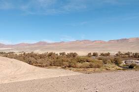 Minas fósiles: los misterios de las llanuras áridas del desierto de Atacama