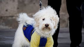 Hasta 3 °C: los sectores de la Región Metropolitana que tendrán las mañanas más frías del año